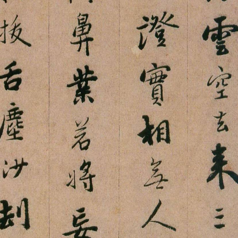 莎莎