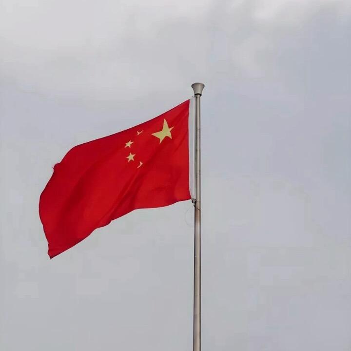 喵先生