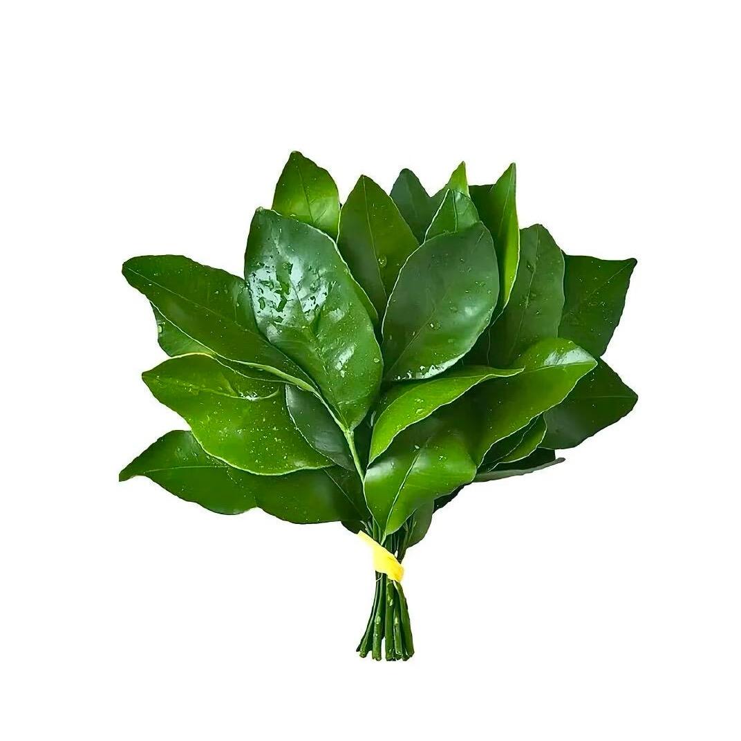 yyyyyyyyy
