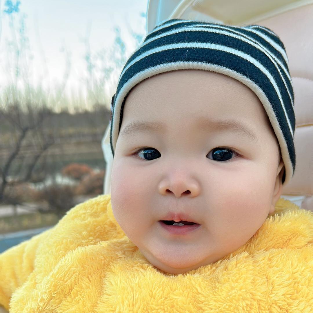 🍋柠檬🍋