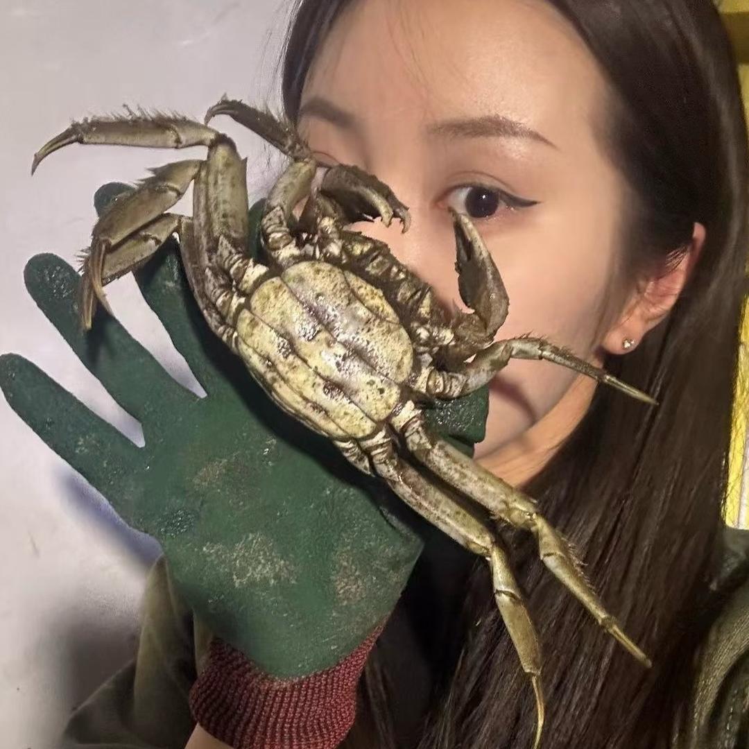 18姐盘锦河蟹-支持预定