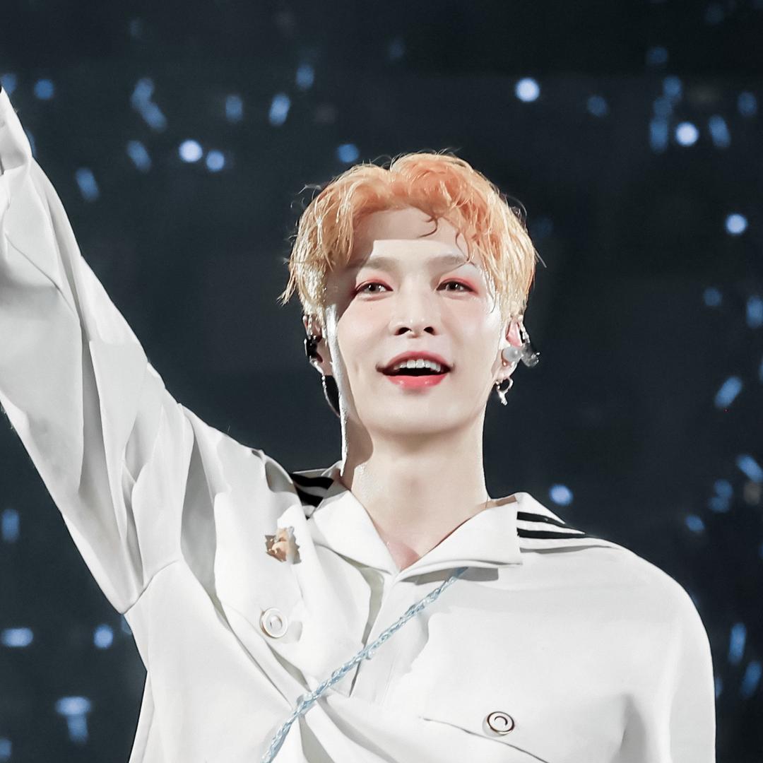 莲莲看（登船版）