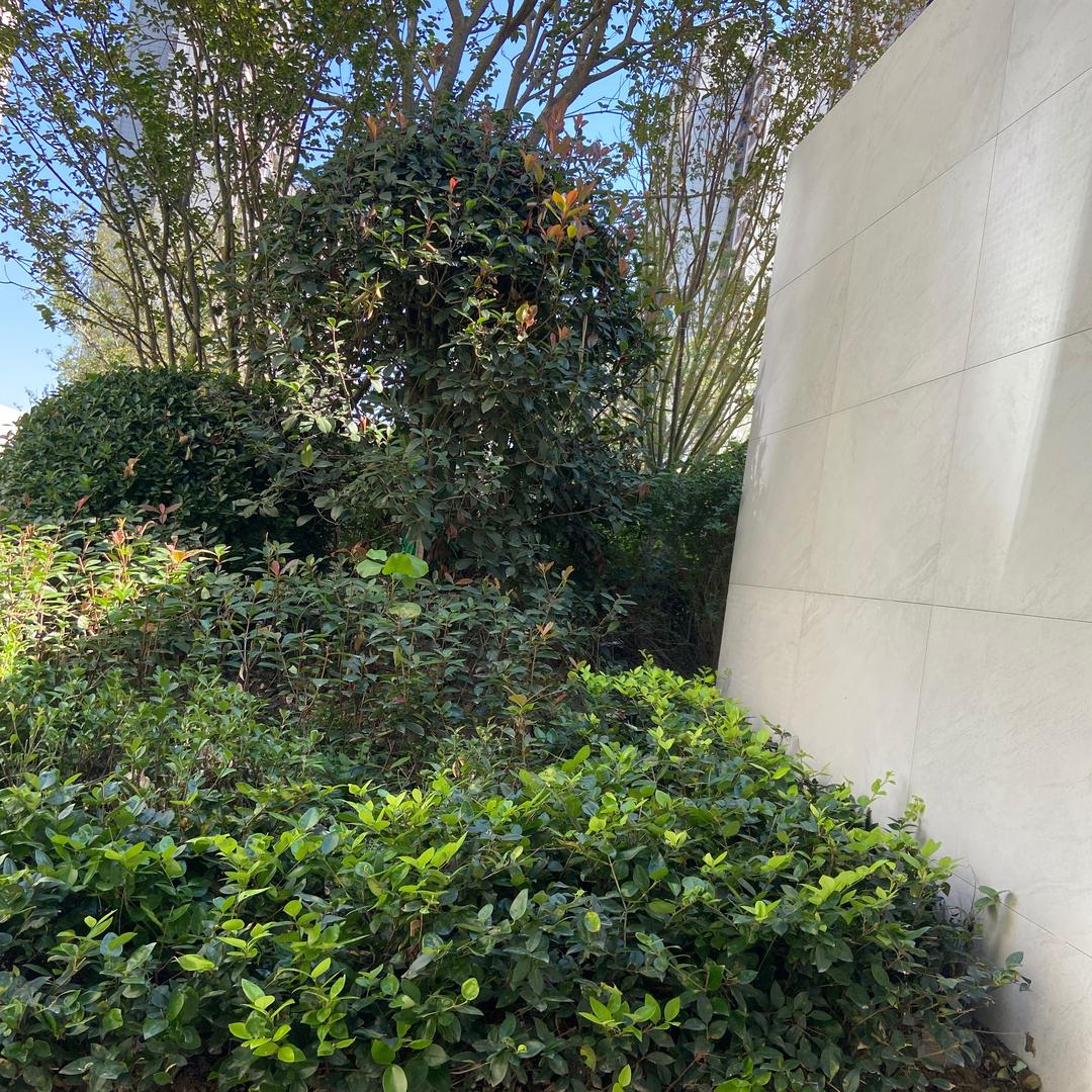 墙板、木饰面、墙布