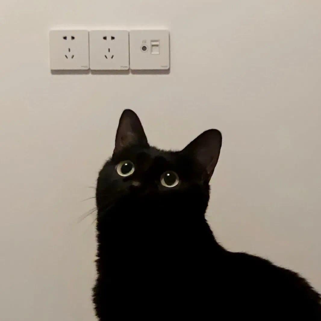 He.