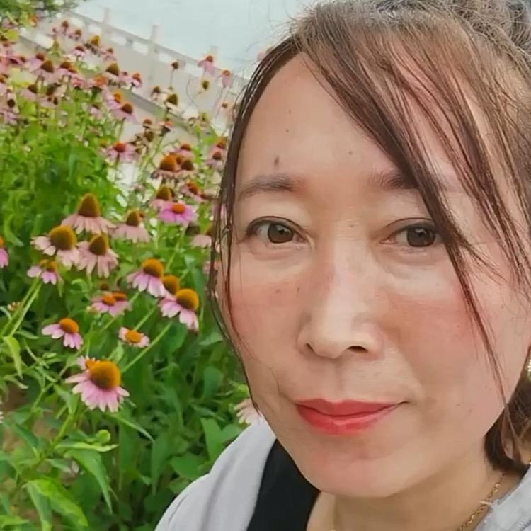 桦艺百货