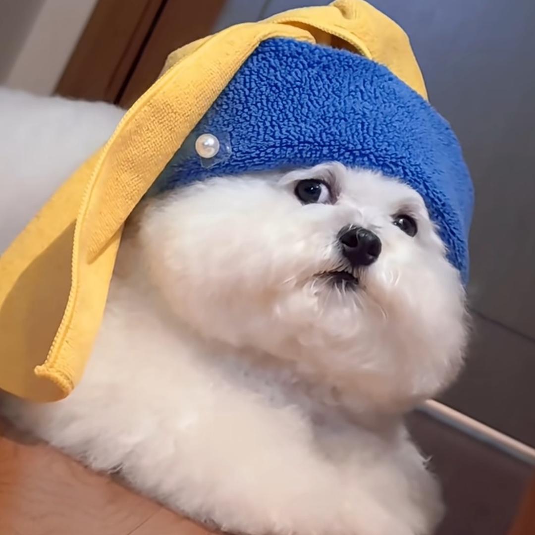 童话故事（生病了）