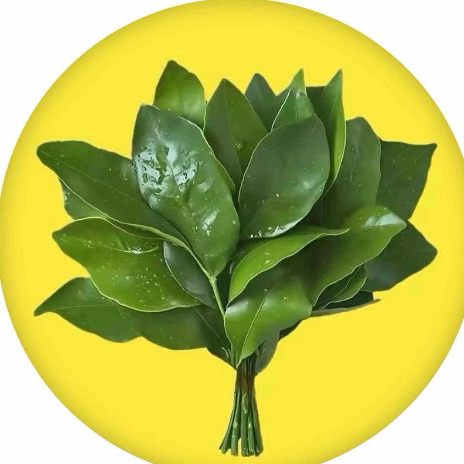 是心心吖