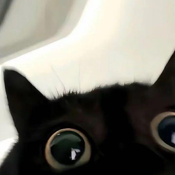 小九