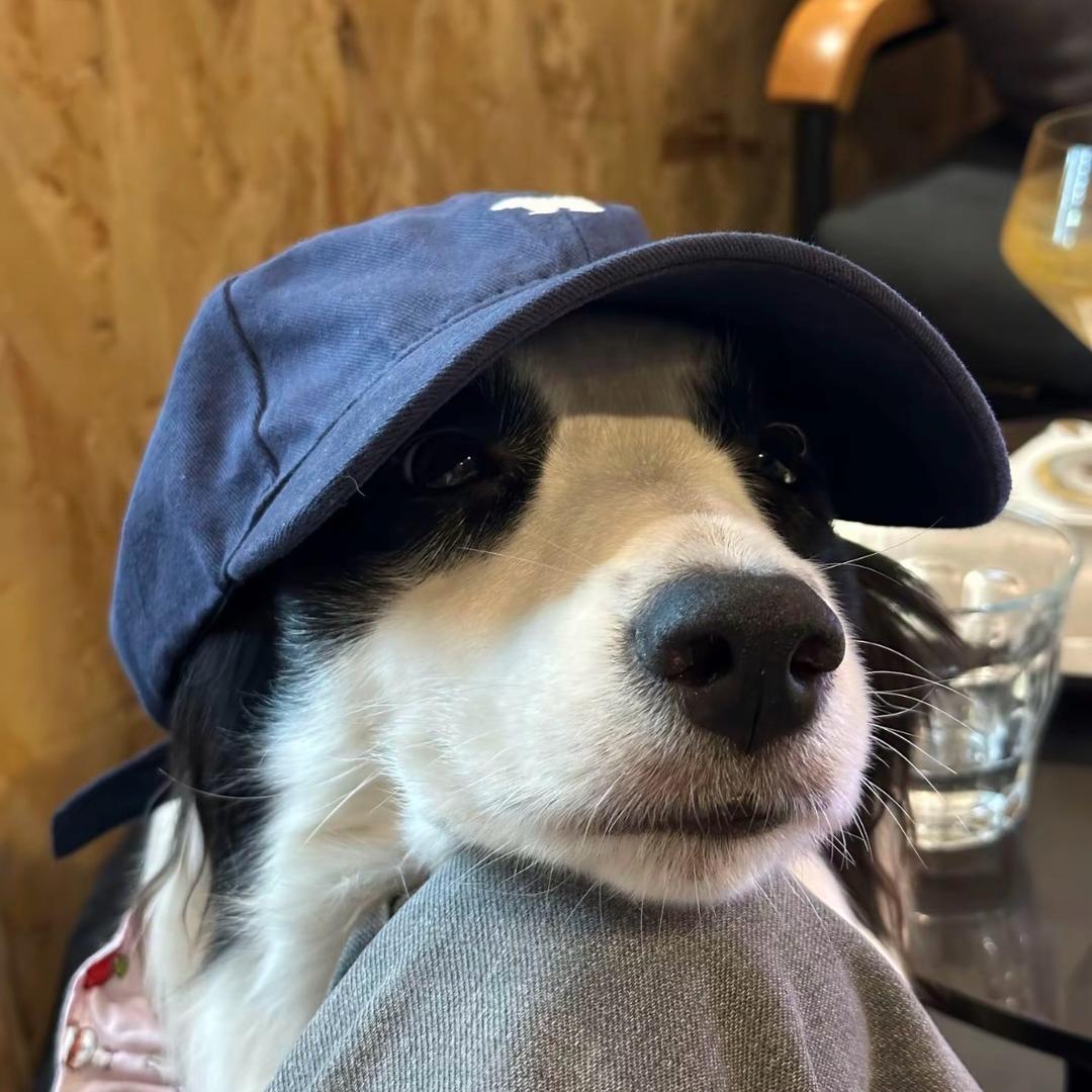 BaiDu