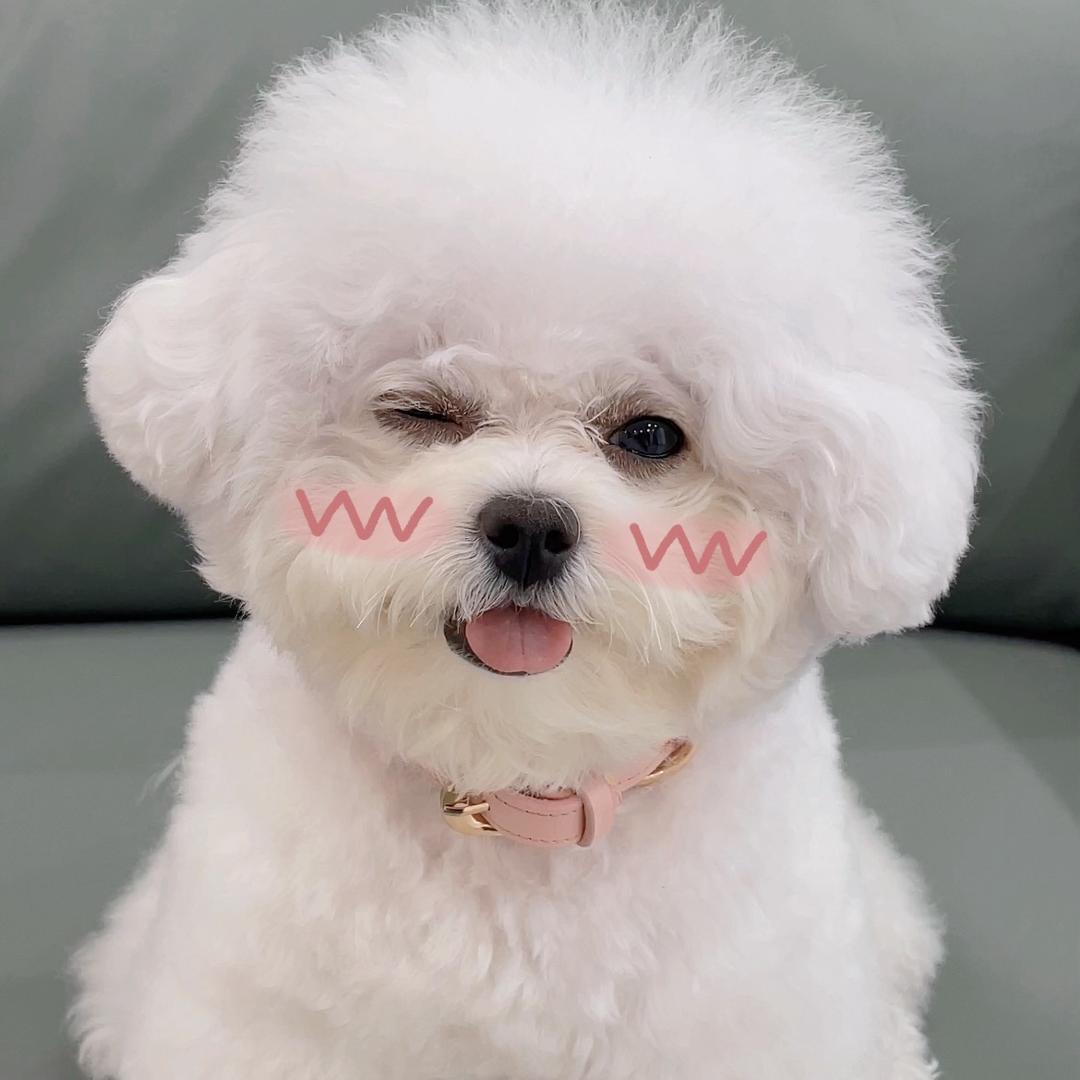 Ann安安大妹@抖音