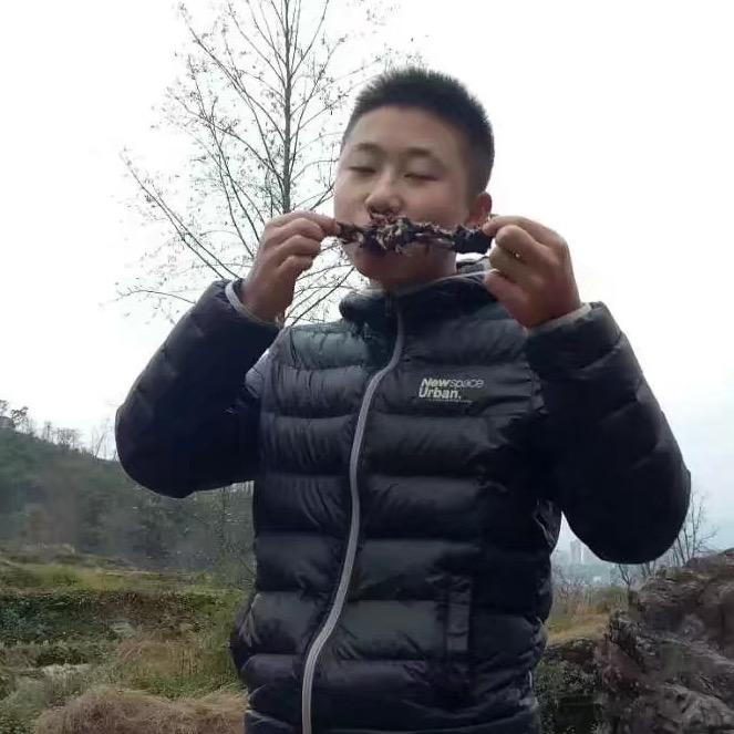 蜉 蝣