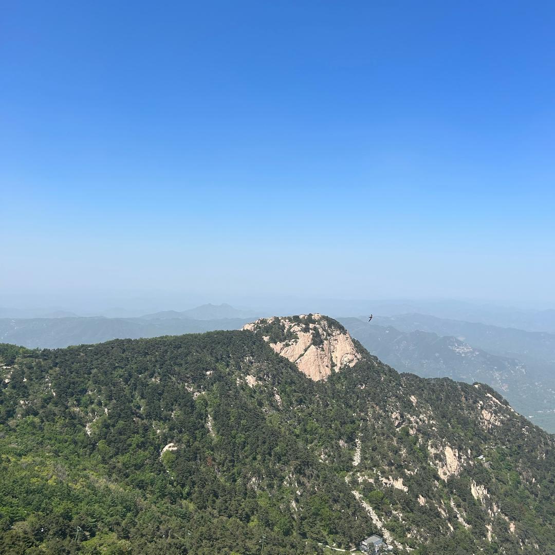 金融小李