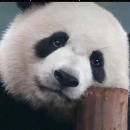 、脚踏实地