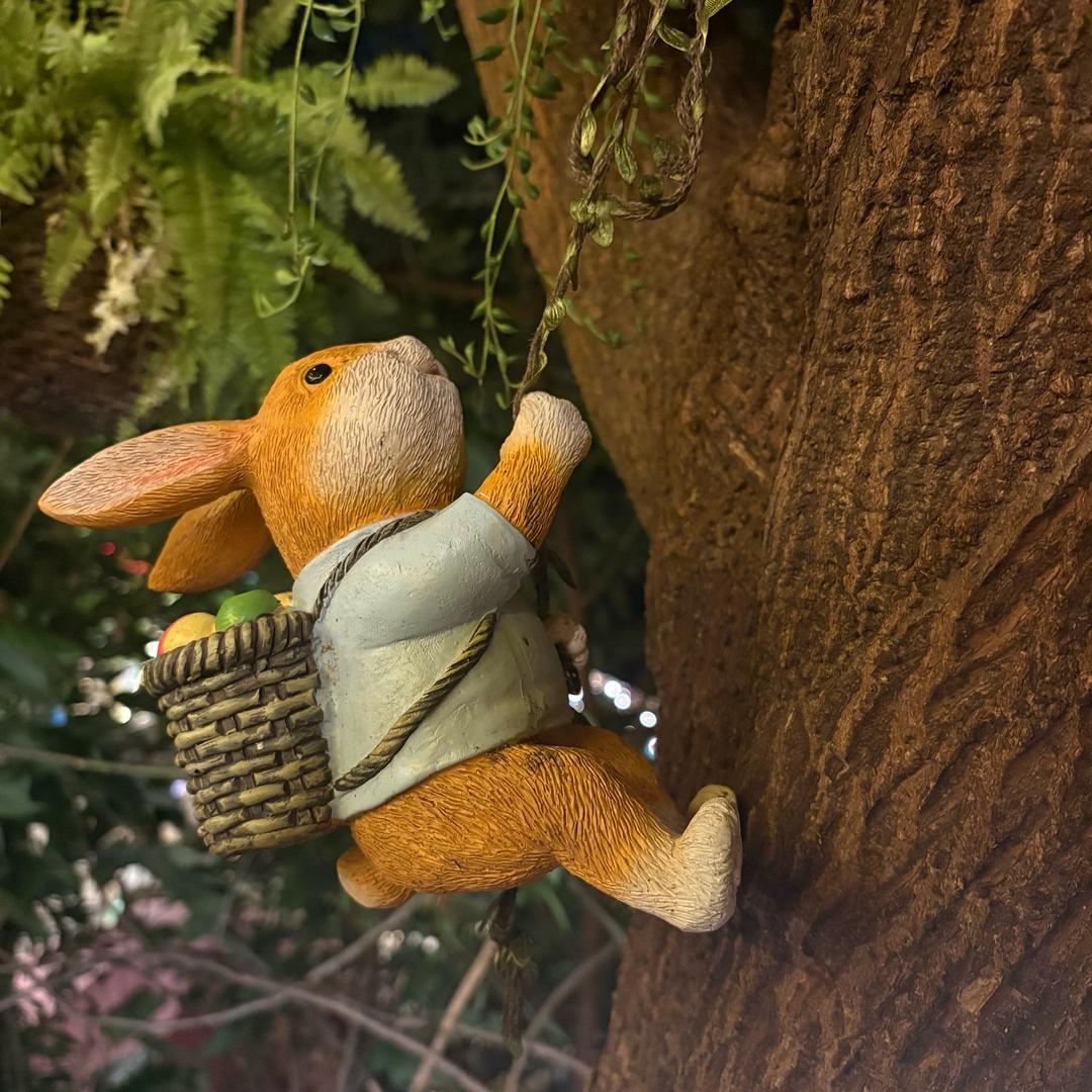 闪闪-户外小野猫（招募队友）