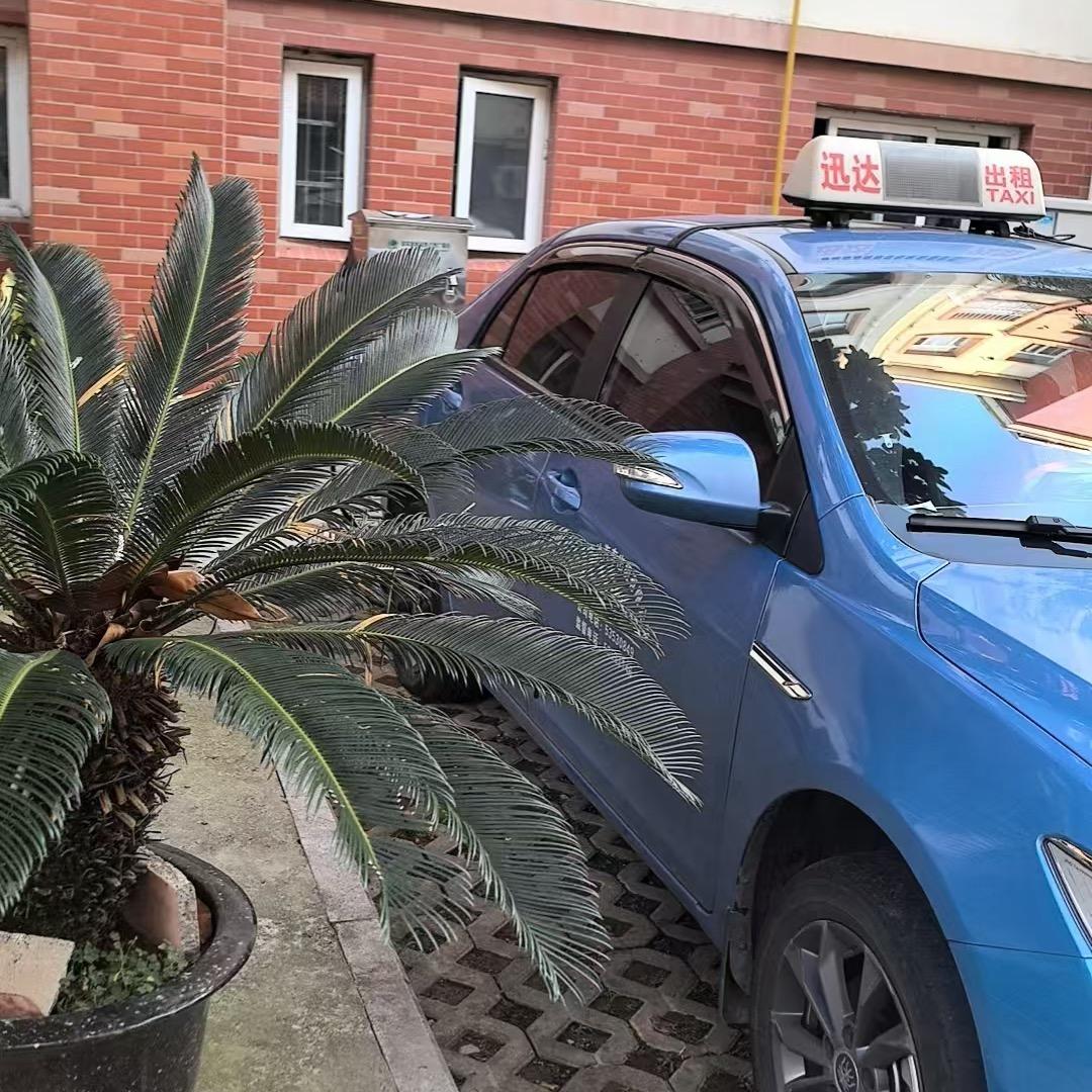 开出租车的小宝