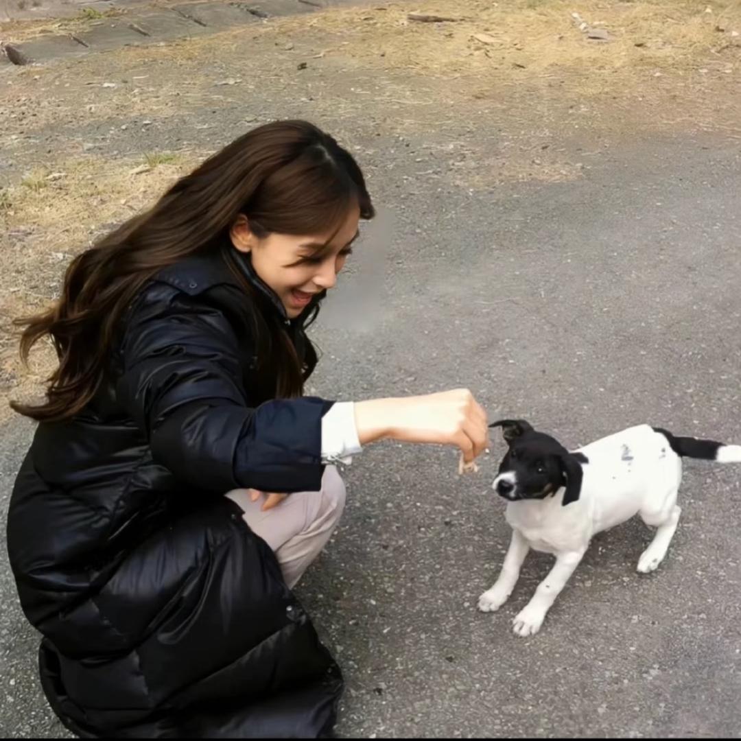 黄油蟹🧈