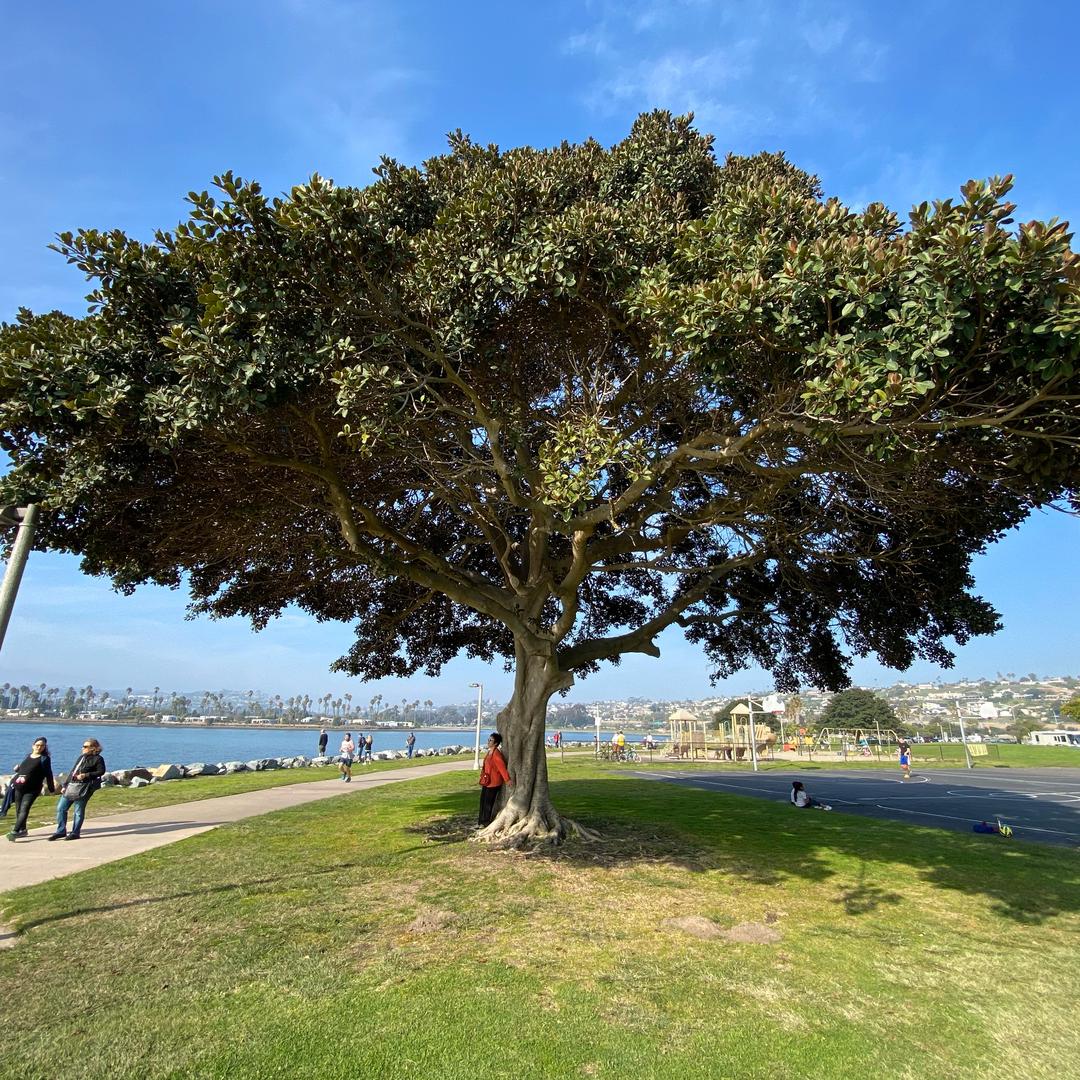 好人一生一生平安