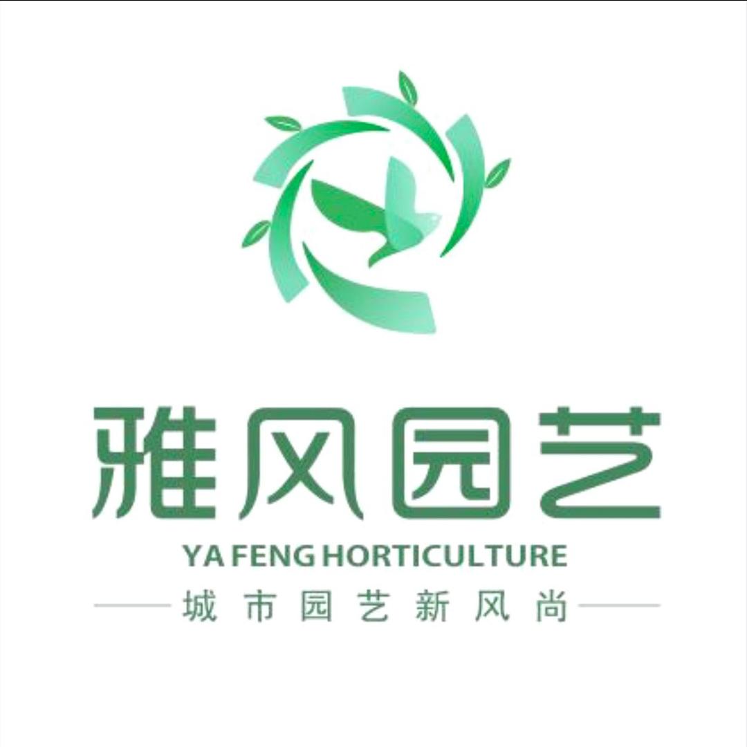 雅风花卉基地
