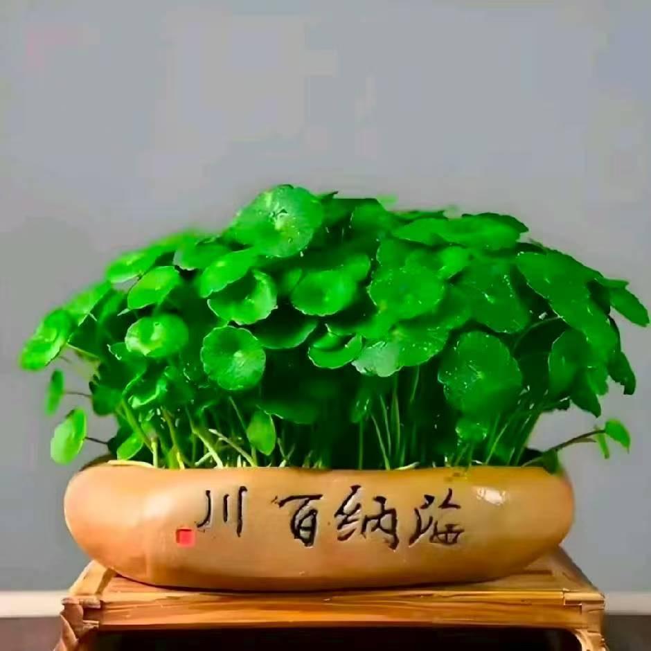 高峰
