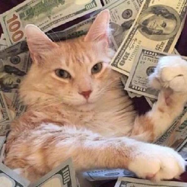 跃动星河·光影绮梦大马戏—小晨🎪