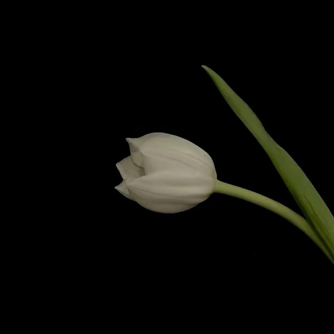 - ̗̀(๑ᵔ⌔ᵔ๑)