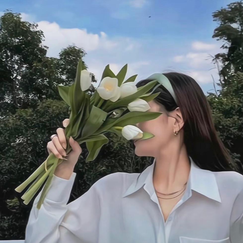 거북이 껍데기