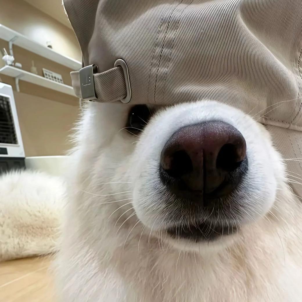 不经意间快乐