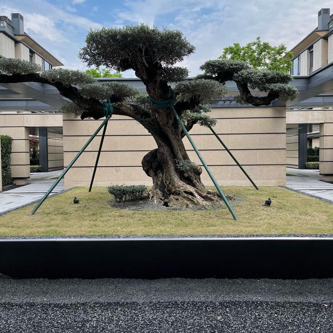 松哥
