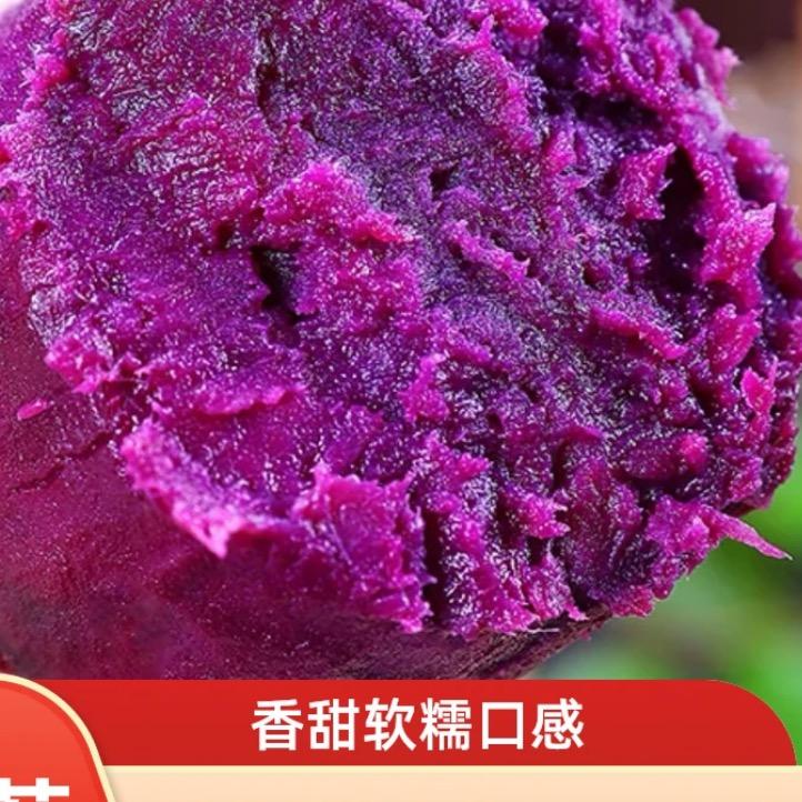 阿宝的初心