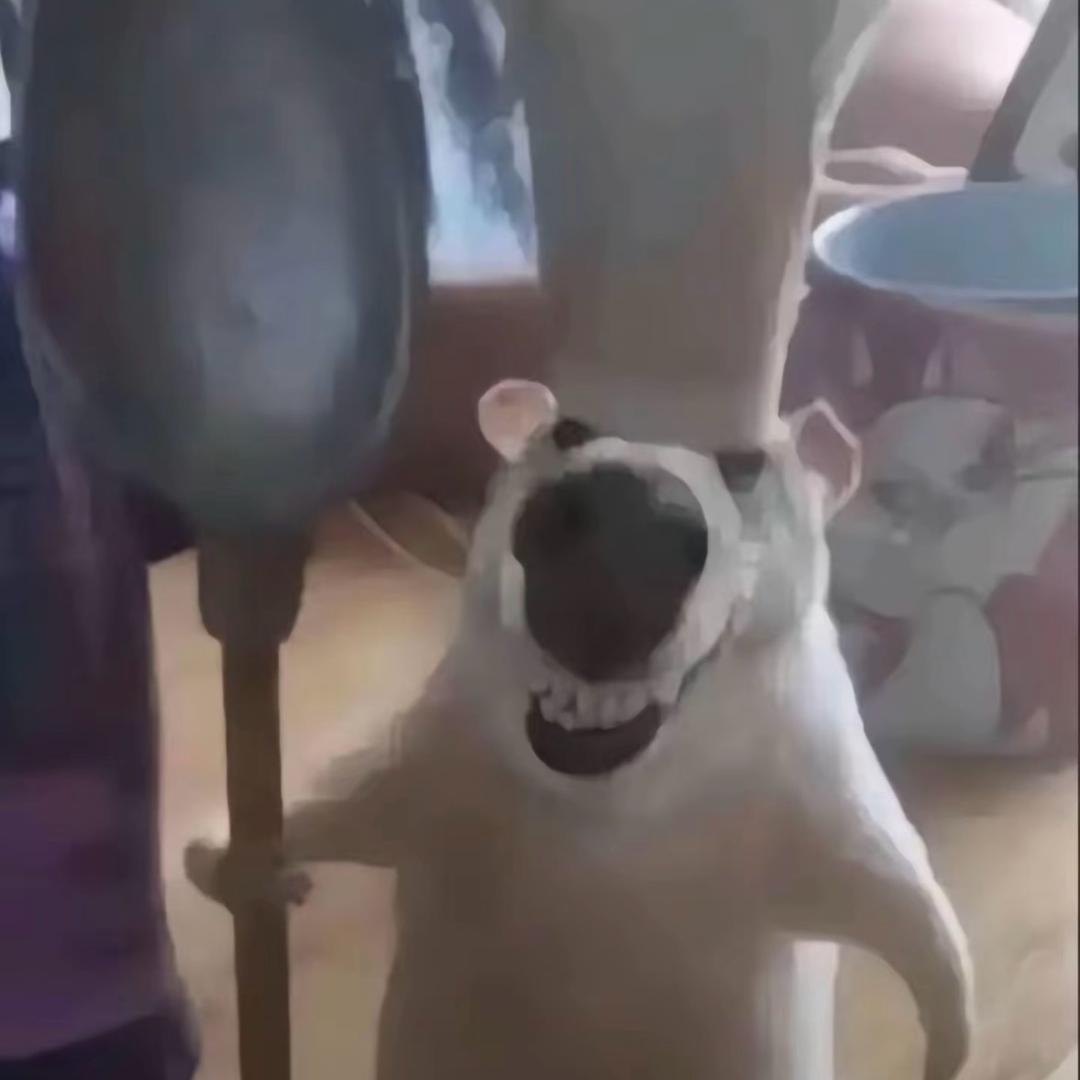 香蕉（李俊濠12/27北京专场