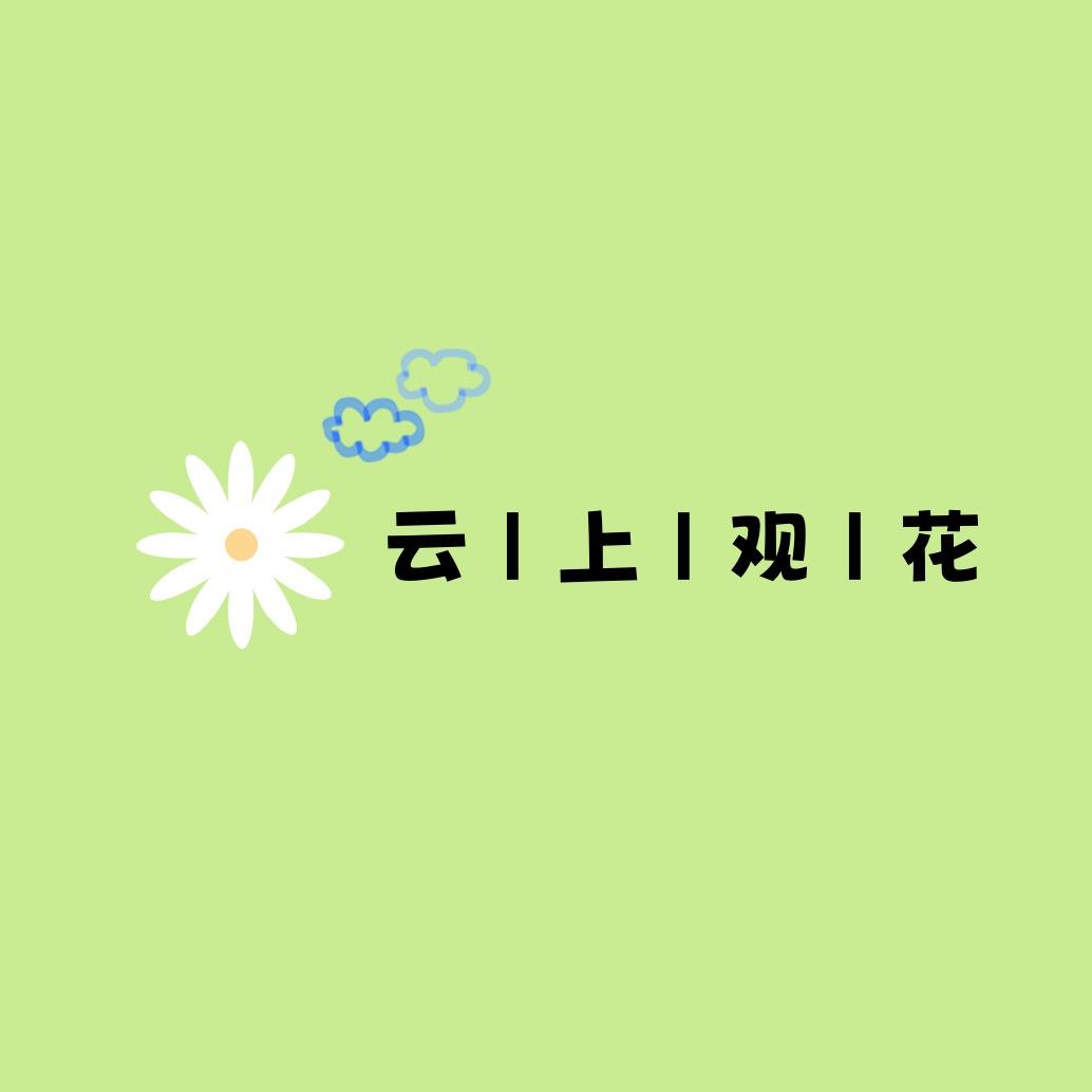 云上观花（花卉基地直发）