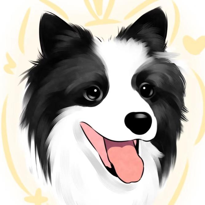 天翼边牧犬舍