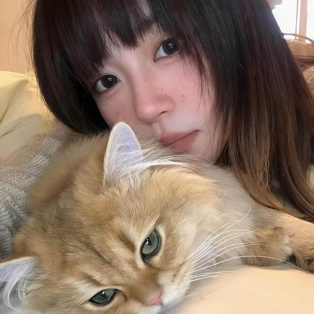 白菜很厉害