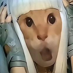 哈基米🈷️