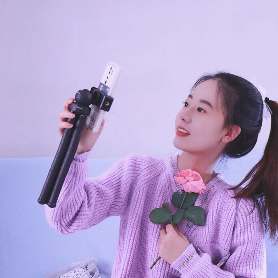 龙千葵