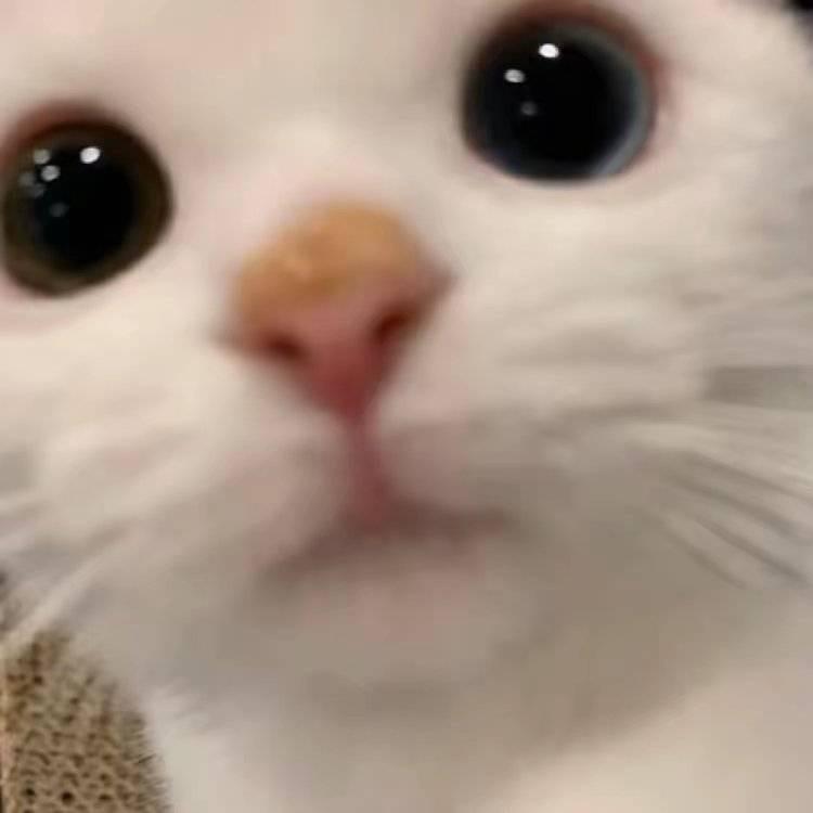 12345777