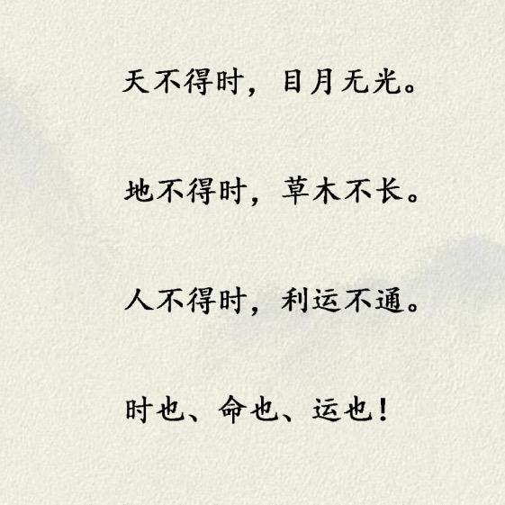 比驴还倔的驴
