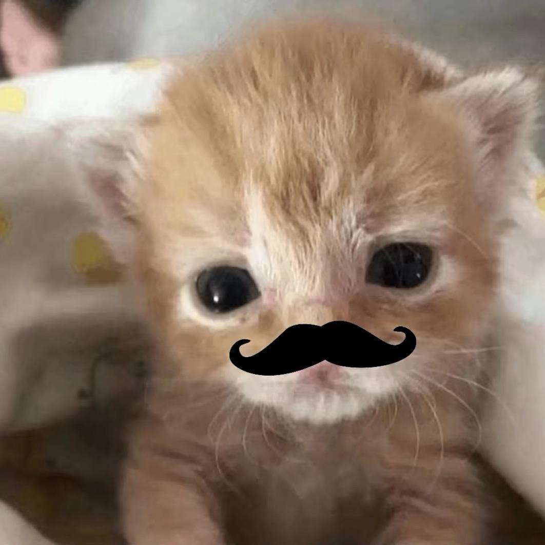 别碰我的齐刘海