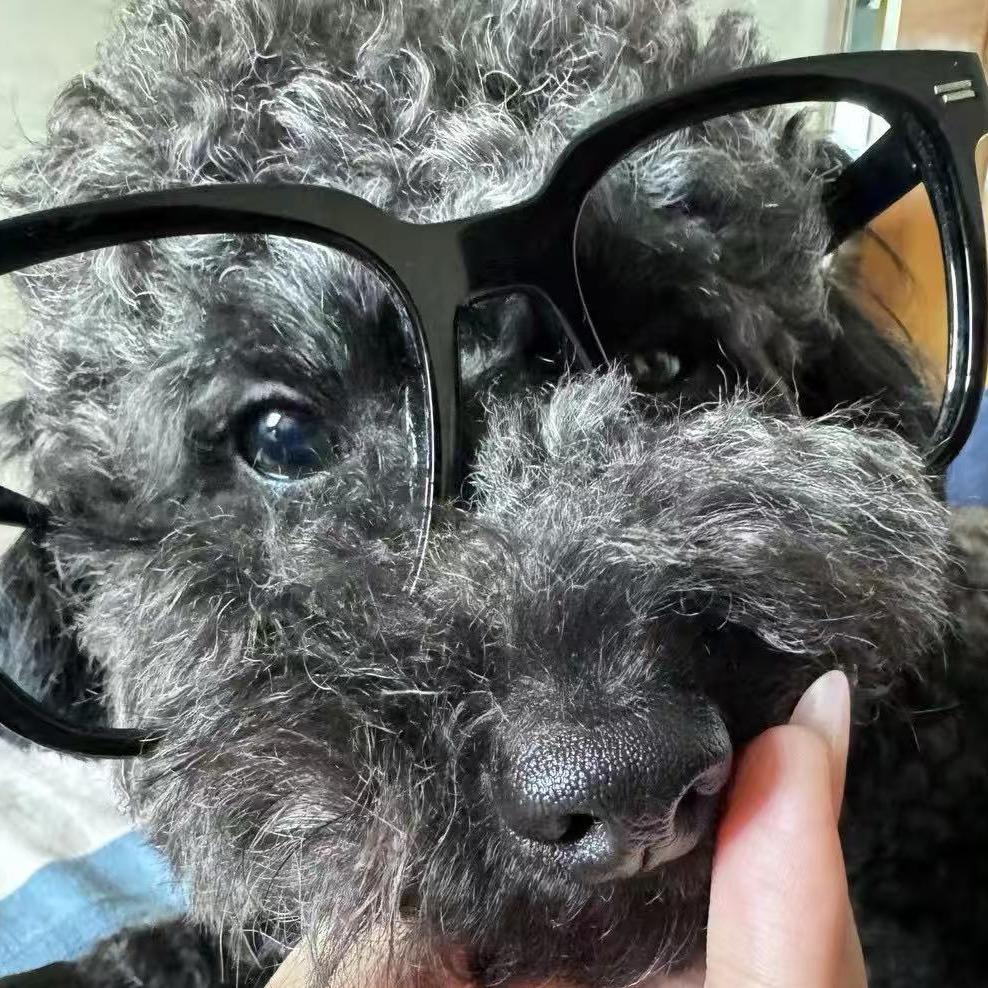 (｡ì _ í｡)