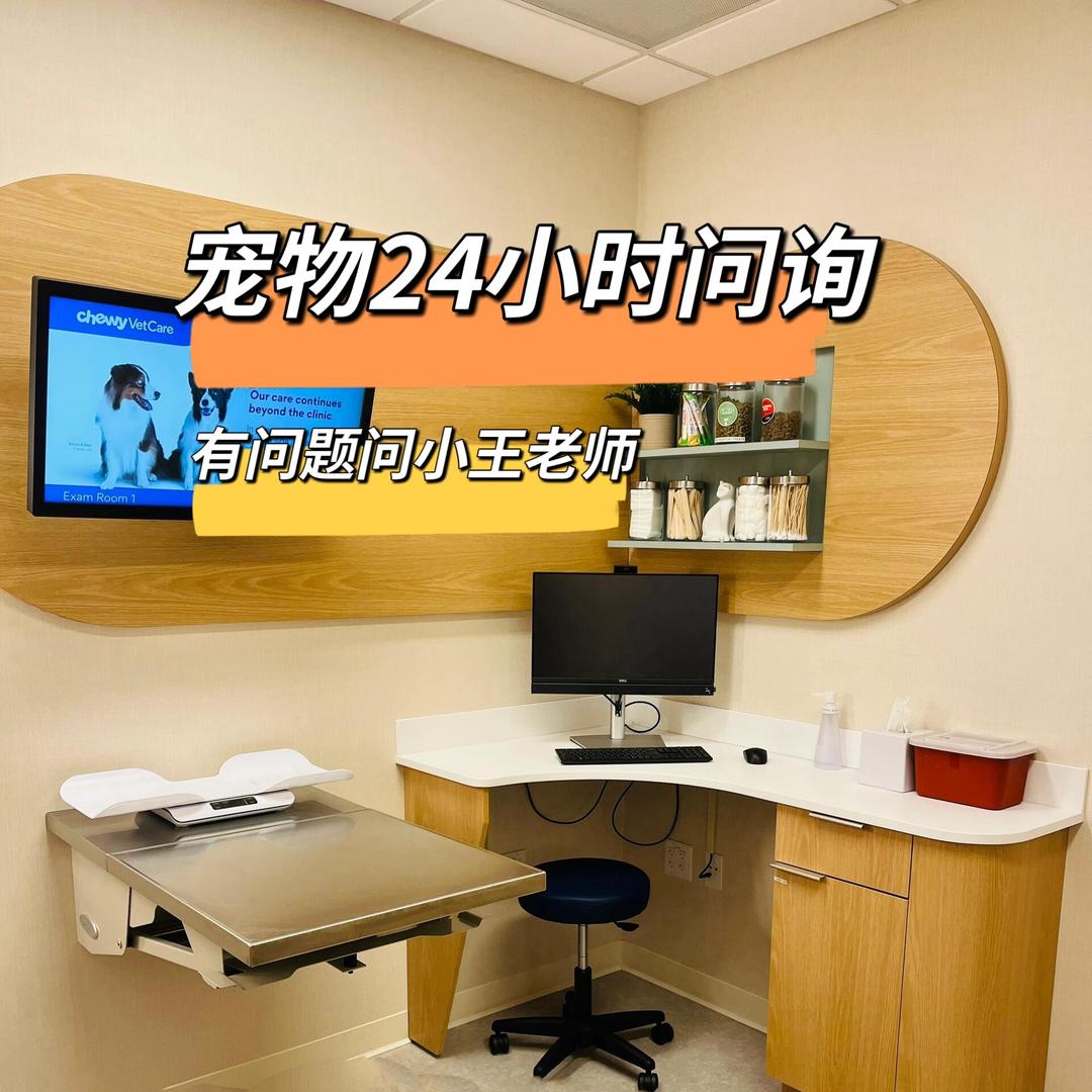 小王老师（猫狗宠物健康）
