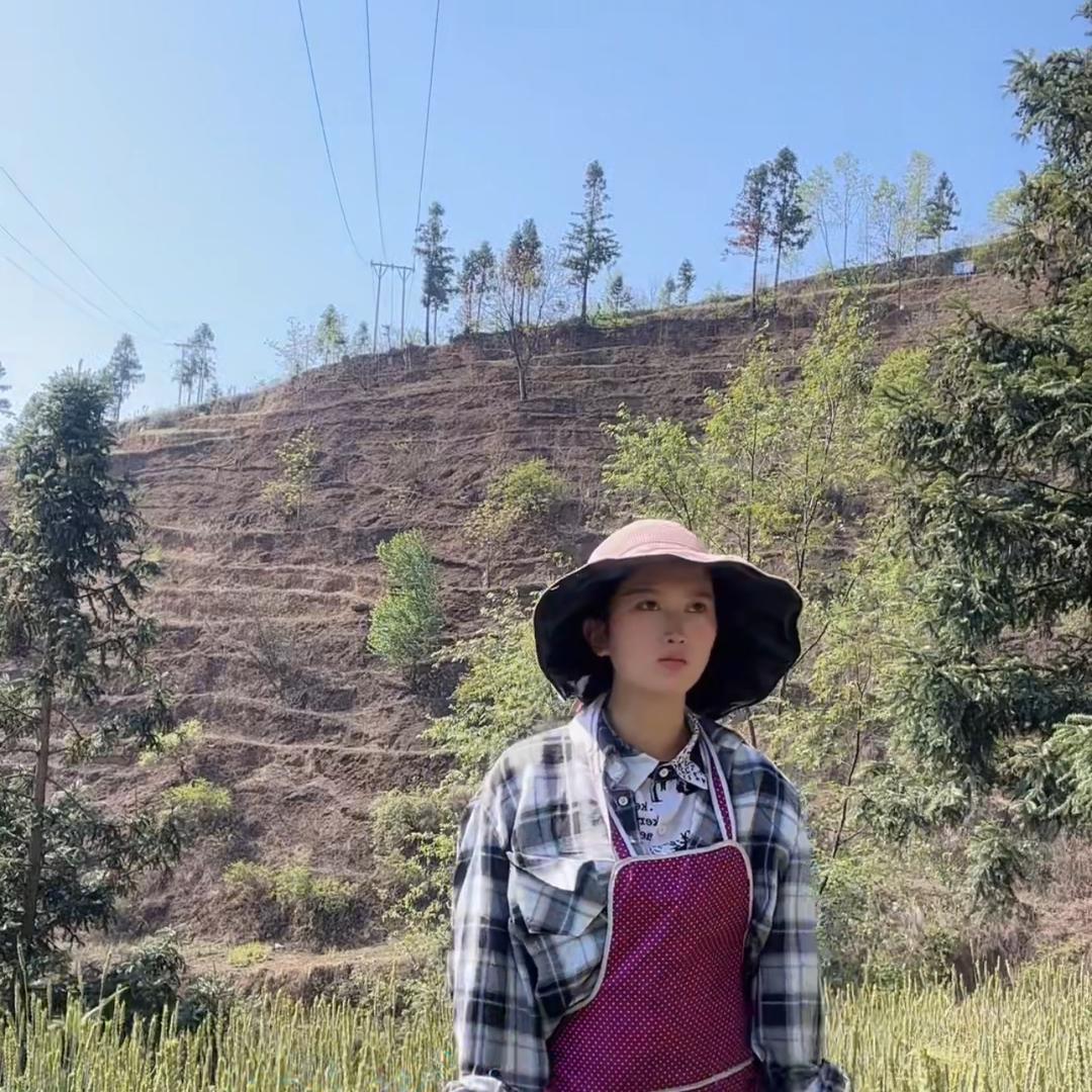 橘子在农村