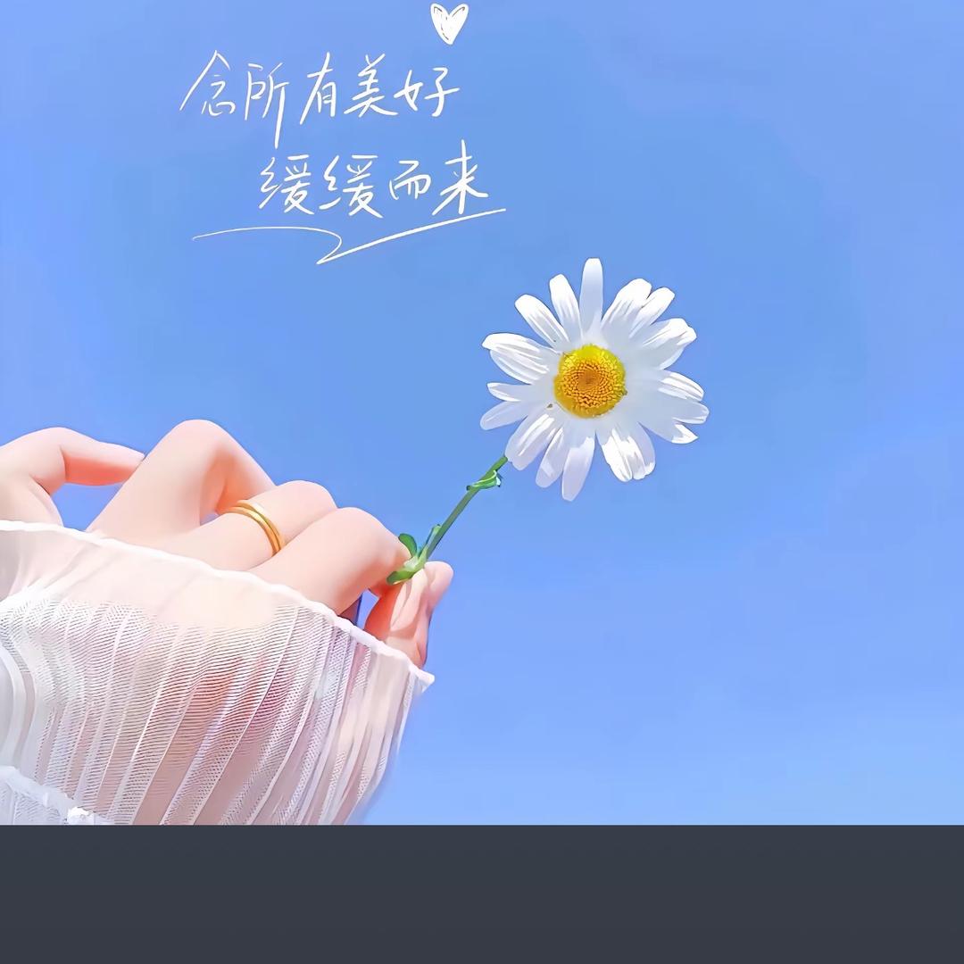 永不停GO贸易商行