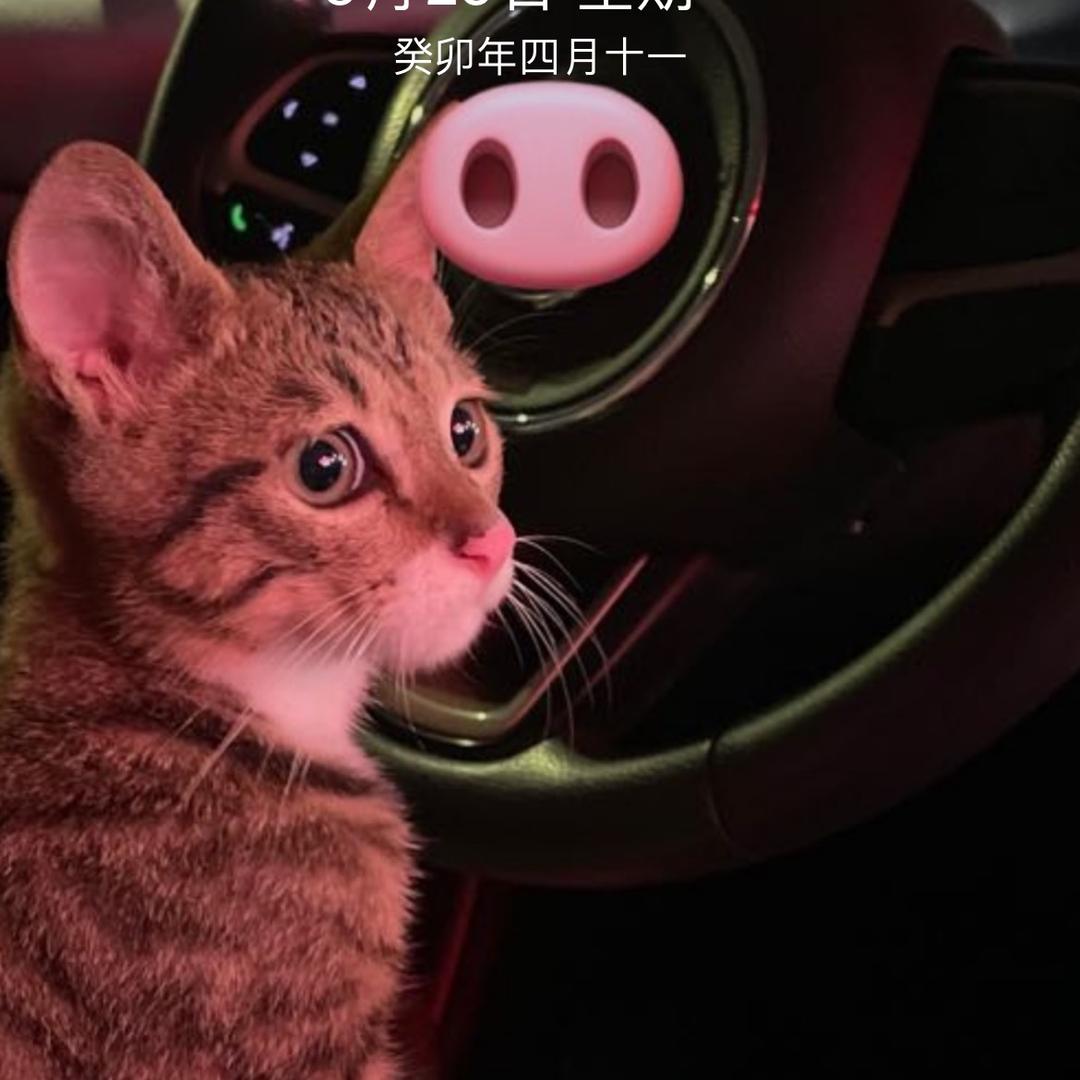 南宁钓鱼佬青多鱼