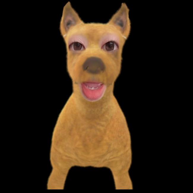 花果山可爱小狗