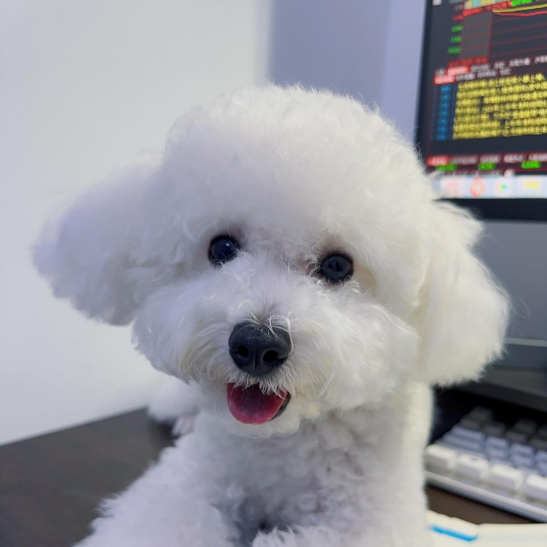 不知名的思想家