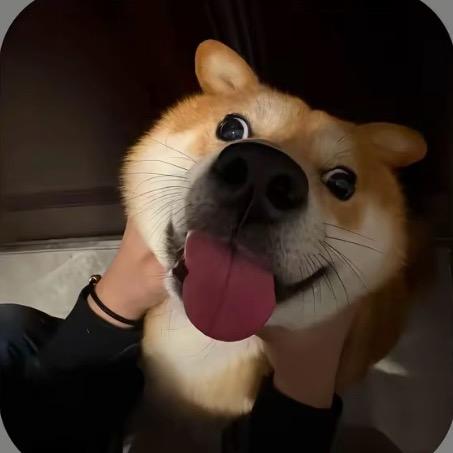 陈小二