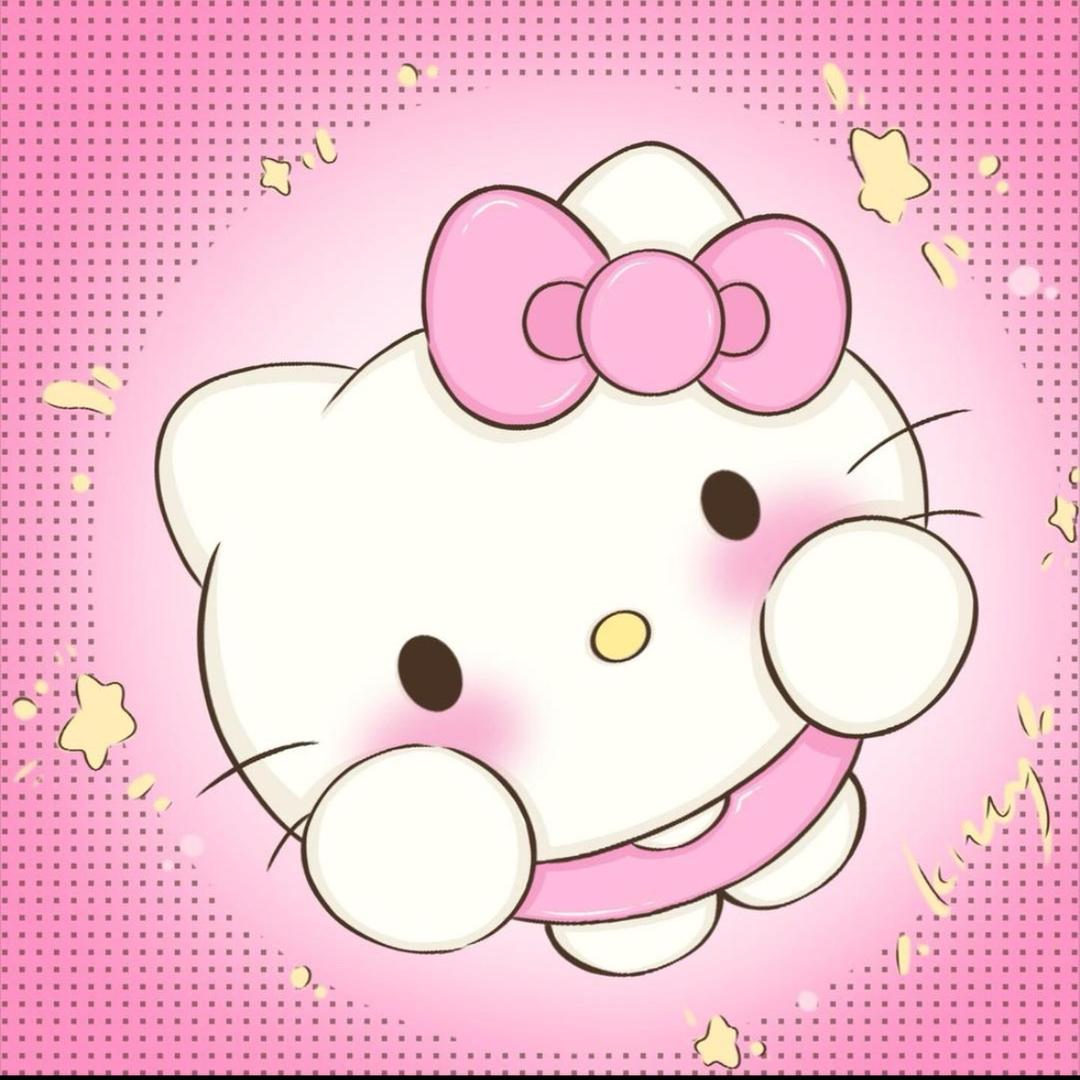 绝望的kitty.