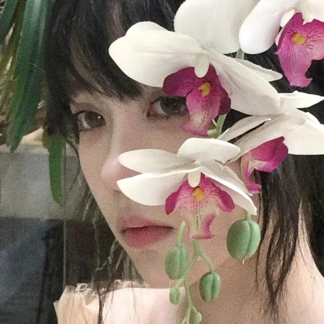 梨荔李哩.