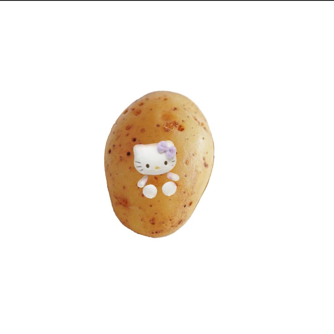 美丽土豆