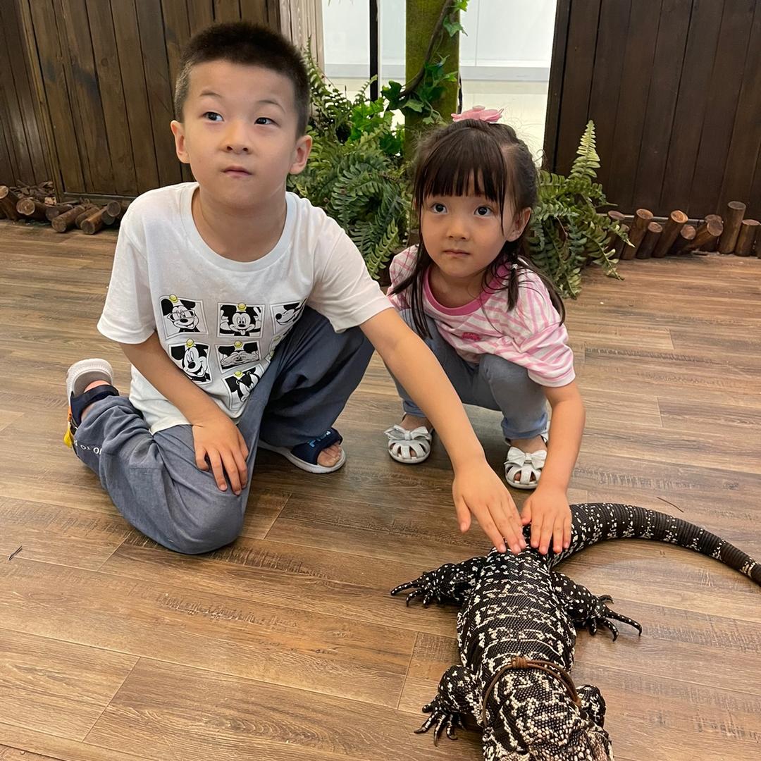 爱耍小脾气